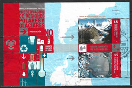 ARGENTINE. BF Oblitéré De 2009. Préservation Des Régions Polaires. - Préservation Des Régions Polaires & Glaciers