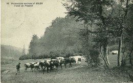 Promenade Environs D'Arlon, Fond De Frassem - Aarlen