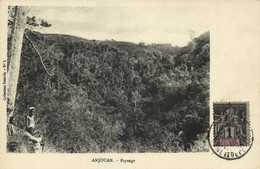 Comoros, ANJOUAN, Paysage, Landscape (1910) Postcard (2) - Comoros