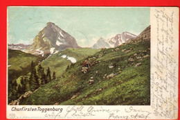 FKI-39  Churfirsten Toggenburg  Gelaufen Bütschwil 1901 Nach Cheyres Pionier. - Bütschwil-Ganterschwil