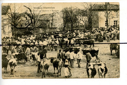 CPA .D88. VOSGES Illustrées.  XERTIGNY . Une FOIRE Aux BESTIAUX A XERTIGNY - Xertigny