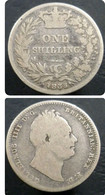 1 Shilling 1835 UK Great Britain Gran Breraña Silver - I. 1 Shilling