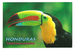 Circulated El Paraiso To Tegucigalpa 2009, Olympic Games Beijing 2008 Stamp - Honduras