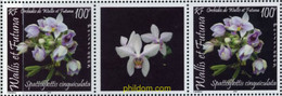 677829 MNH WALLIS Y FUTUNA 2005 ORQUIDEA - Used Stamps