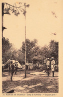 Scoutisme * Scouts De France * Camp De L'arnèche * Toujours Prêts ! * Jamborée - Scouting