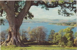 ROYAUME-UNI ANGLETERRE CUMBERLAND/WESTMORLAND WINDERMERE LAKE - Windermere