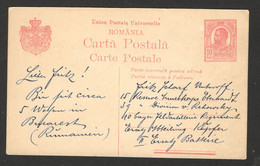 ROMANIA  - POSTCARD STATIONERY - Autres & Non Classés