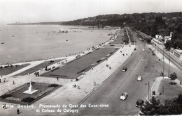 GENÈVE - PROMENADE DU QUAI DES EAUX-VIVES ET COTEAU DE COLOGNY - CARTOLINA FP NUOVA - Cologny