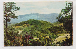 USA - TENNESSEE - SMOKY MOUNTAINS, Mount Le Conte, 1954 - Smokey Mountains