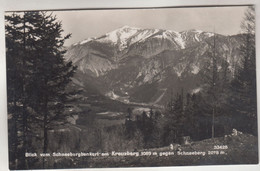C5465) Blick Vom SCHNEEBERGBANKERL Am KREUZBERG Gegen Schneeberg - ALT S/W 1949 - Schneeberggebiet