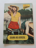 Portugal Revue Cinéma Movies Mag 1956 La Risaia Elsa Martinelli Falco Lulli Raffaello Matarazzo Italia Burt Lancaster - Cinéma & Télévision