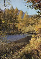 Borrowdale Near Grange, Lake District, Cumbria. Unposted - Borrowdale