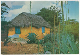 A Typical Native Country (Cunucu) House On The Island Of Bonaire - (Netherlands Antilles) - Bonaire