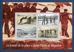 Saint Pierre Et Miquelon - YT Bloc N° 13 ** - Neuf Sans Charnière - 2008 - Blocks & Sheetlets