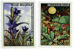 337991 MNH BELGICA 1974 FAUNA Y FLORA - Spinnen