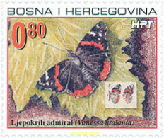 122801 MNH BOSNIA-HERZEGOVINA. Adm Croata 2002 MARIPOSAS - Spinnen