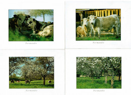 BALADE EN NORMANDIE - LES VACHES - 4 Cartes - Production Leconte - Editions Le Goubey (ref GM 11 - 120- 123 - 130) - Kühe