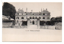 (Suisse) Vaud 159, Coppet, Jullien Freres JJ 987, Château De Coppet - Coppet