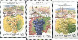 325546 MNH HUNGRIA 1997 VINOCULTURA - Used Stamps