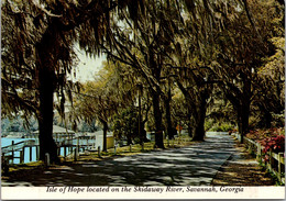 Georgia Savannah Isle Of Hope Recreation Area Located On The Skidaway River - Savannah