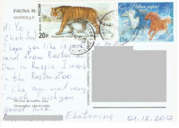 C9 :Russia - Tiger, Big Cat, Horse Stamps Used On Postcard - Cartas & Documentos