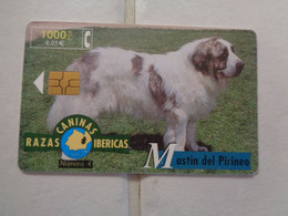 Spain Phonecard - Autres & Non Classés