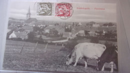 BELGIQUE BELGIUM FROIDCHAPELLE PANORAMA  VACHES TIMBRE - Froidchapelle