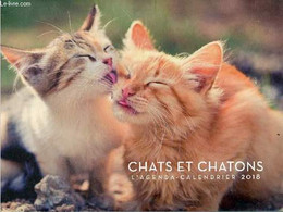 Chats Et Chatons L'agenda-calendrier 2018. - Collectif - 2017 - Agende Non Usate