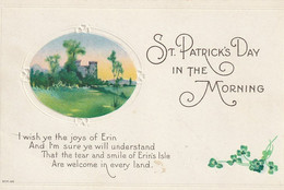 St. Patrick's Day In The Morning  Iwish Ye The Joys Of Erin  And I Am Sure Ye Will Understand  That The Tear.  .  .  . - Saint-Patrick's Day