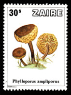 Tp De 1979 - Flore - Champignon - Phylloporus Ampliporus - Y&T N° 943 MH * - Ungebraucht