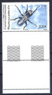 TAAF 2023 - Mouche Aux Pattes D'or - Unused Stamps