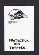 CPM Tortue Turtle Protection Animale Non Circulé - Tortues