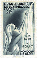 97239 MNH LUXEMBURGO 1940 ANTITUBERCULOSIS - Gebraucht