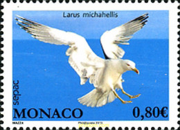 306213 MNH MONACO 2013 AVES MARINAS - Andere & Zonder Classificatie