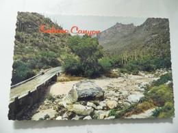 Cartolina "Sabino Canyon TUCSON" 1974 - Tucson