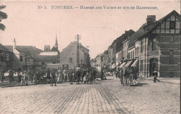 BELGIQUE - TONGRES - Marché Aux Vaches Et Rue De Maestricht - Carte Postale Ancienne - - Tongeren