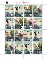 Sierra Leone  2022 WWF Lesser Flamingo. New Currency Reissue. (605f2) OFFICIAL ISSUE - Flamants