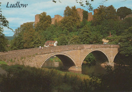 Ludlow - Dinham Bridge And Castle - A Salmon Cameracolour Postcard - Shropshire