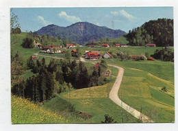 AK 120733 SWITZERLAND - Sternenberg - Blick Auf Hörnli - Sternenberg