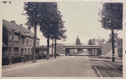 Oostkamp De Nieuwe Brug Over De Autostrade - Oostkamp