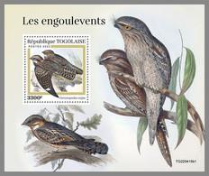 TOGO 2022 MNH Nightjars Nachtschwalben Engoulevents S/S I - IMPERFORATED - DHQ2310 - Hirondelles