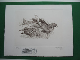 TAAF Grande Gravure Format 320x250 Du 1/1/93  N° 176 Skua Signé Andréotto N° 262/1200 - Other & Unclassified