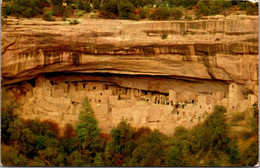 Arizona Mesa Verde National Park Cliff Palace Ruin - Mesa