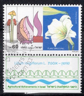 Israel 1988 Single Stamp Celebrating Agriculture And Achievements In Fine Used With Tab - Used Stamps (with Tabs)