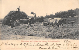 CPA 11 DEPIQUAISON AU ROULEAU AUX ENVIRONS DE CASTELNAUDARY / SCENE D'AGRICULTURE - Castelnaudary