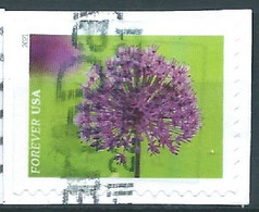 VEREINIGTE STAATEN ETATS UNIS USA 2021 GARDEN FLOWERS: ONION F USED ON PAPER SN 5560 MI 5793 YT 5402 - Used Stamps
