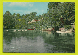 89 DRUYES Les Belles Fontaines Vers Courson Les Carrières Les Sources Pédalo Barque Cygnes Postée à Auxerre En 1978 - Courson-les-Carrières