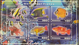 Rwanda Velletje Vissen - Used Stamps