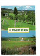 Redu Bonjour ( Carte Ayant Voyagé ) - Libin