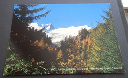Matrei - Aussergschloss - Blick Auf Venedigergruppe, Osttirol - Dina Mariner Postkarten Verlag, Lienz - # F 263 - Matrei In Osttirol